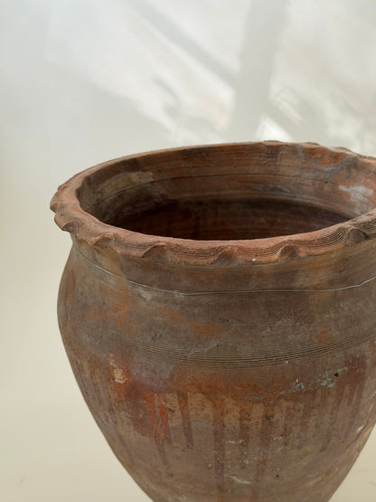 Scalloped Edge Terracotta Planter
