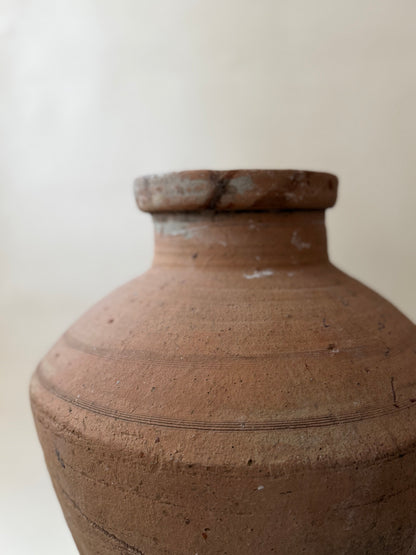 Enez Pot - I