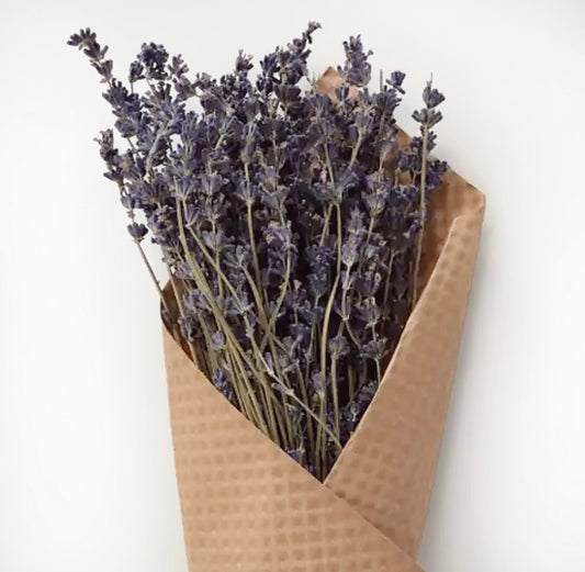 Provence Lavender Bunch