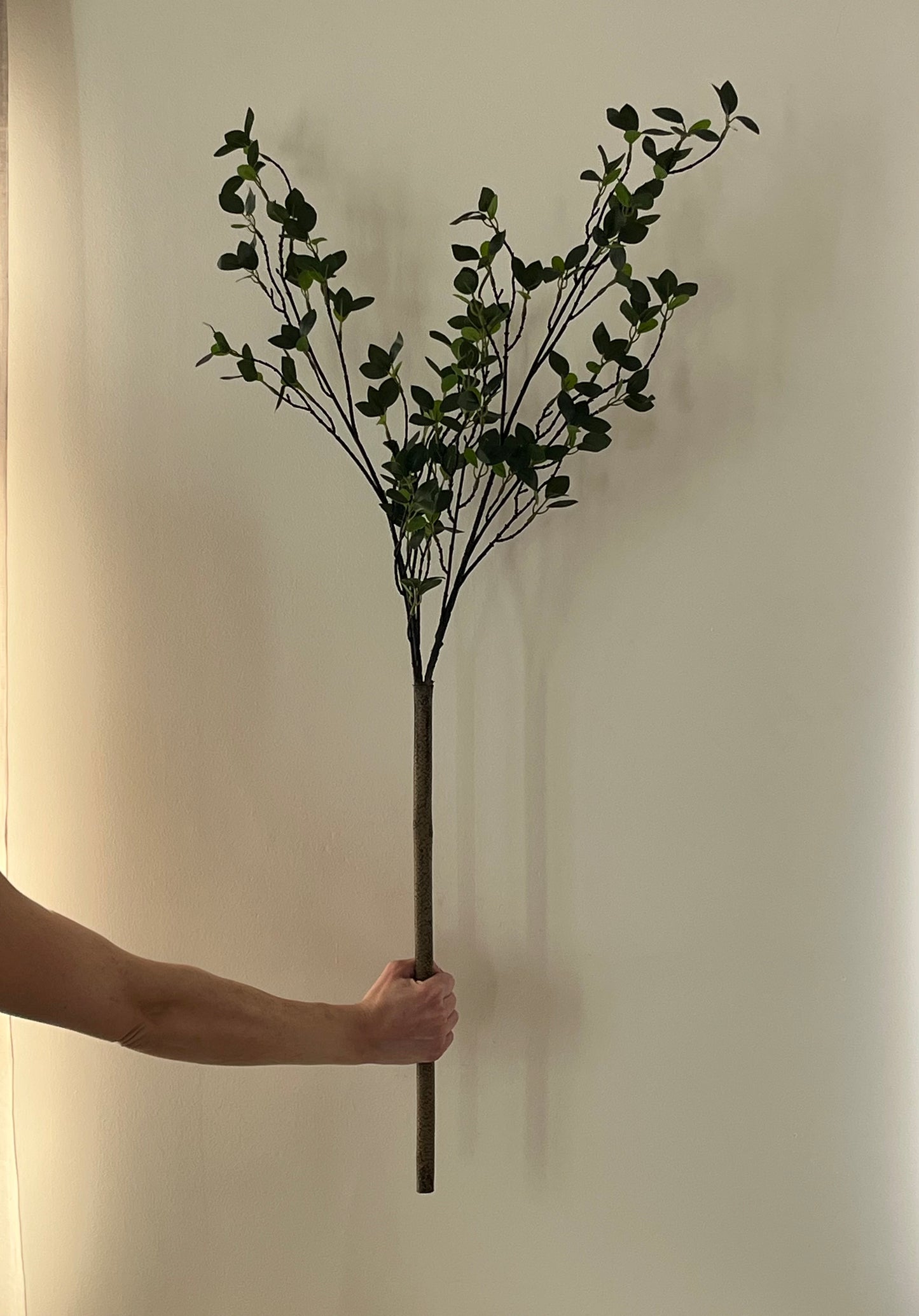 The Signature Stem