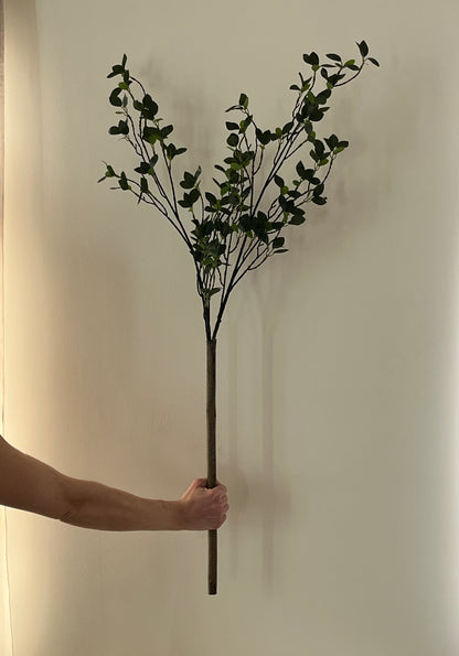 The Signature Stem