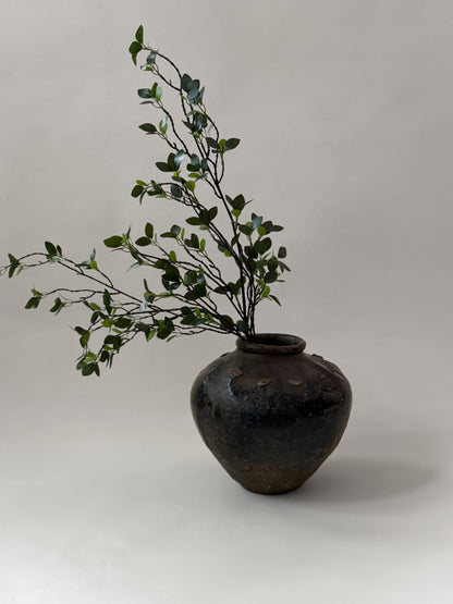 Rumi Pot - III