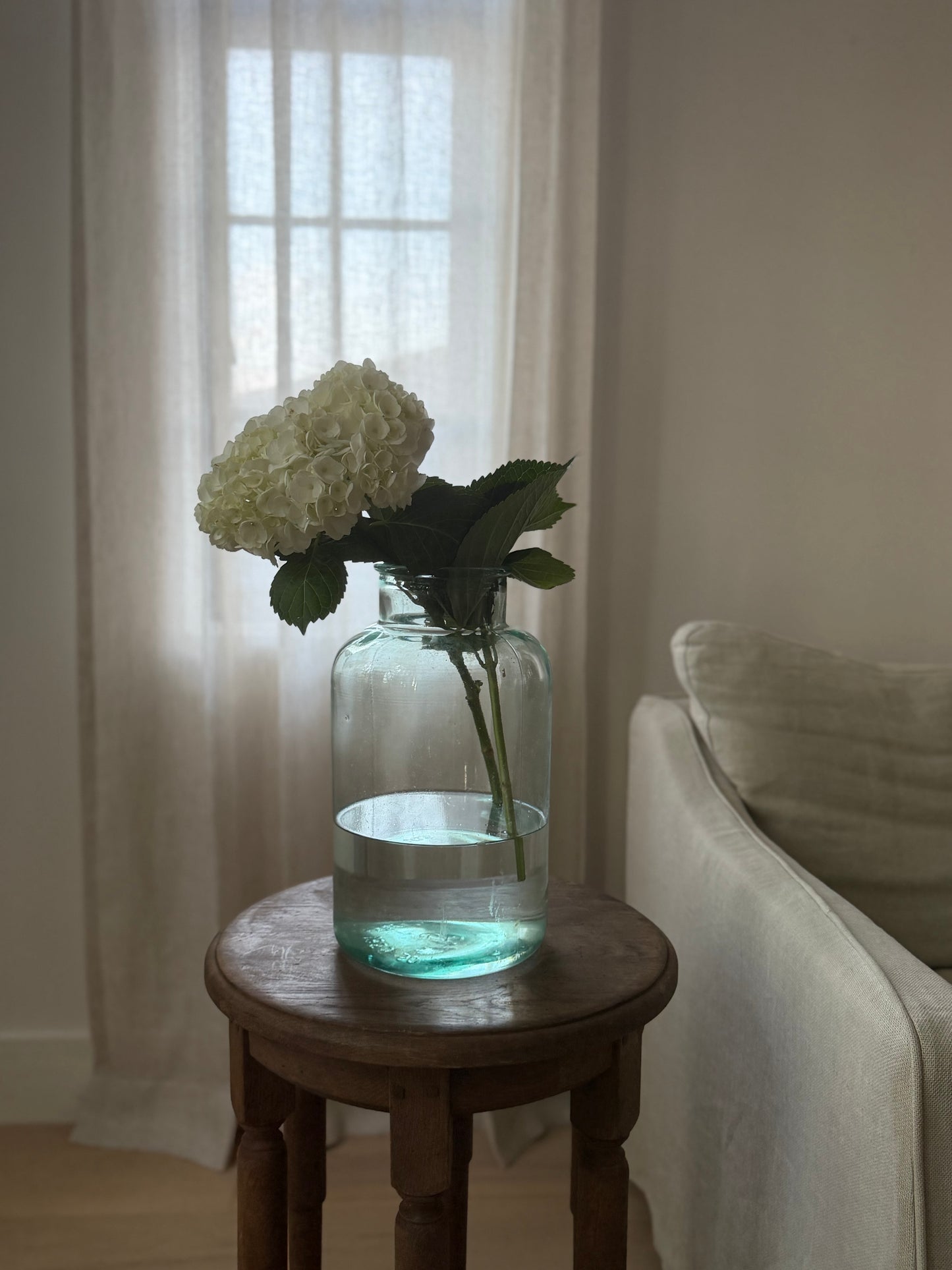 European Herbal Jar