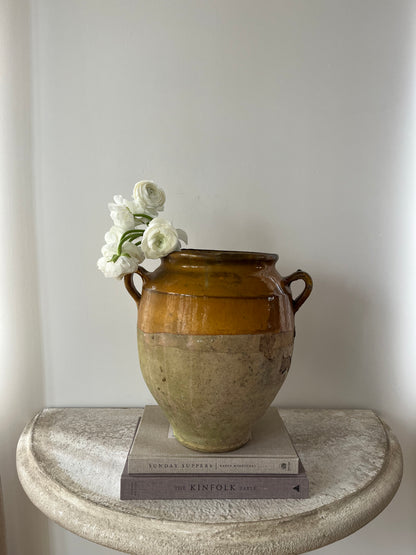 Large Antique Confit Pot III