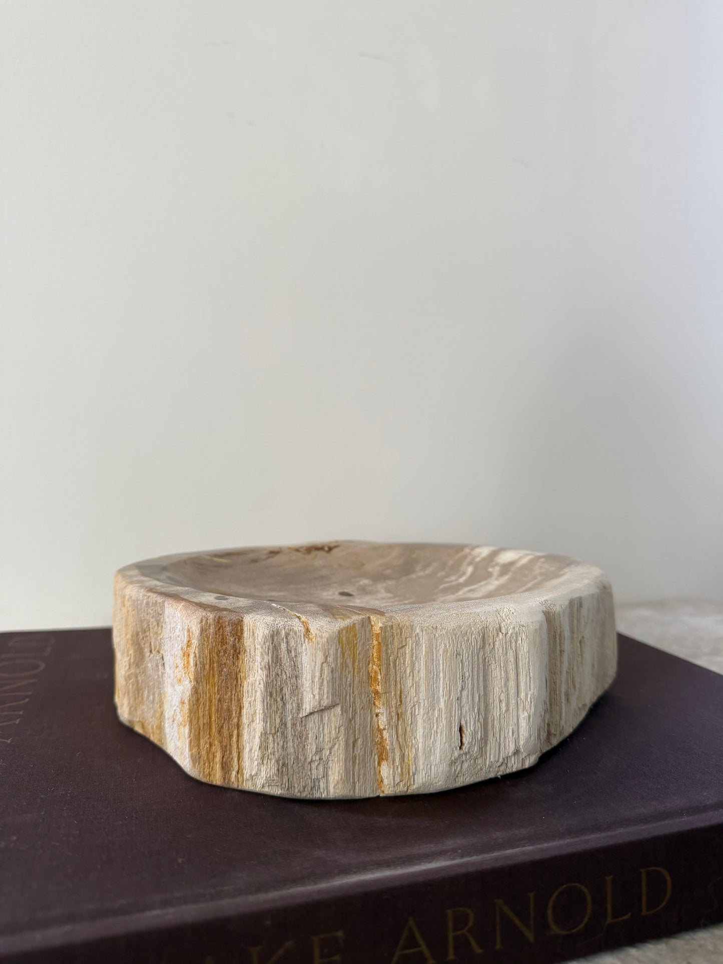 Petrified Wood Dish III