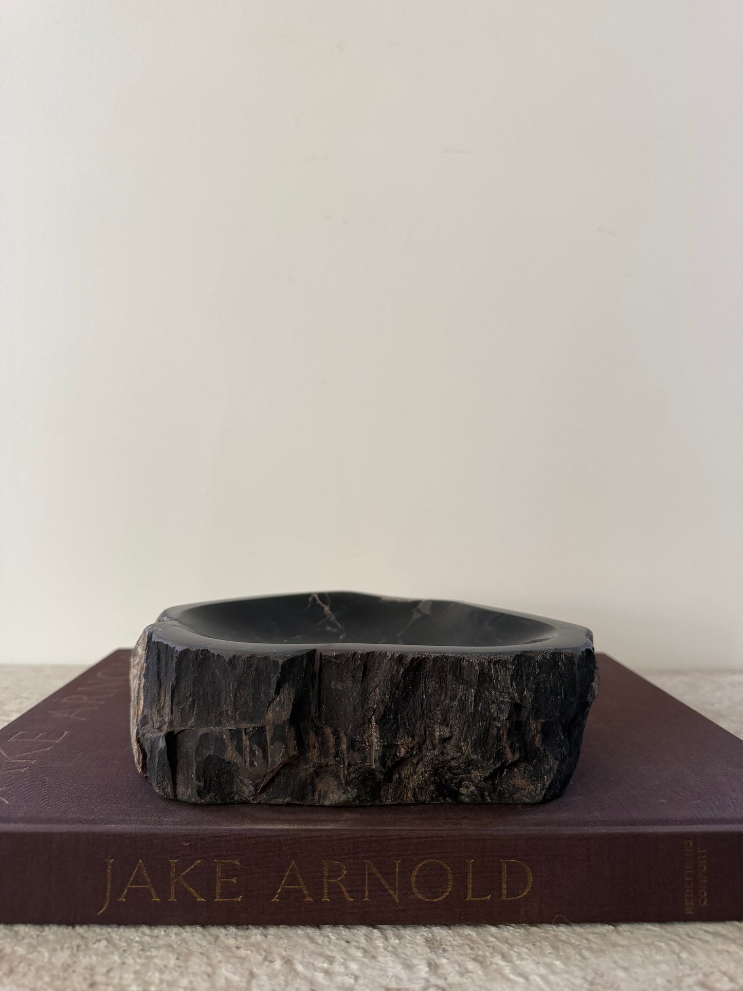 Petrified Wood Dish IV