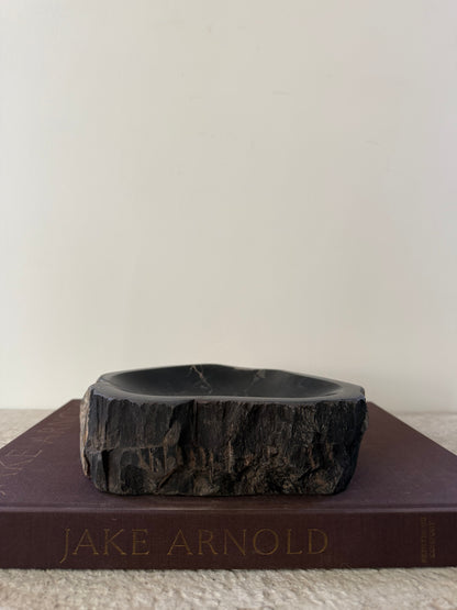 Petrified Wood Dish IV