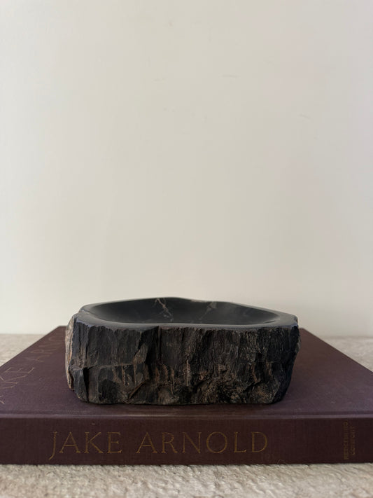 Petrified Wood Dish IV