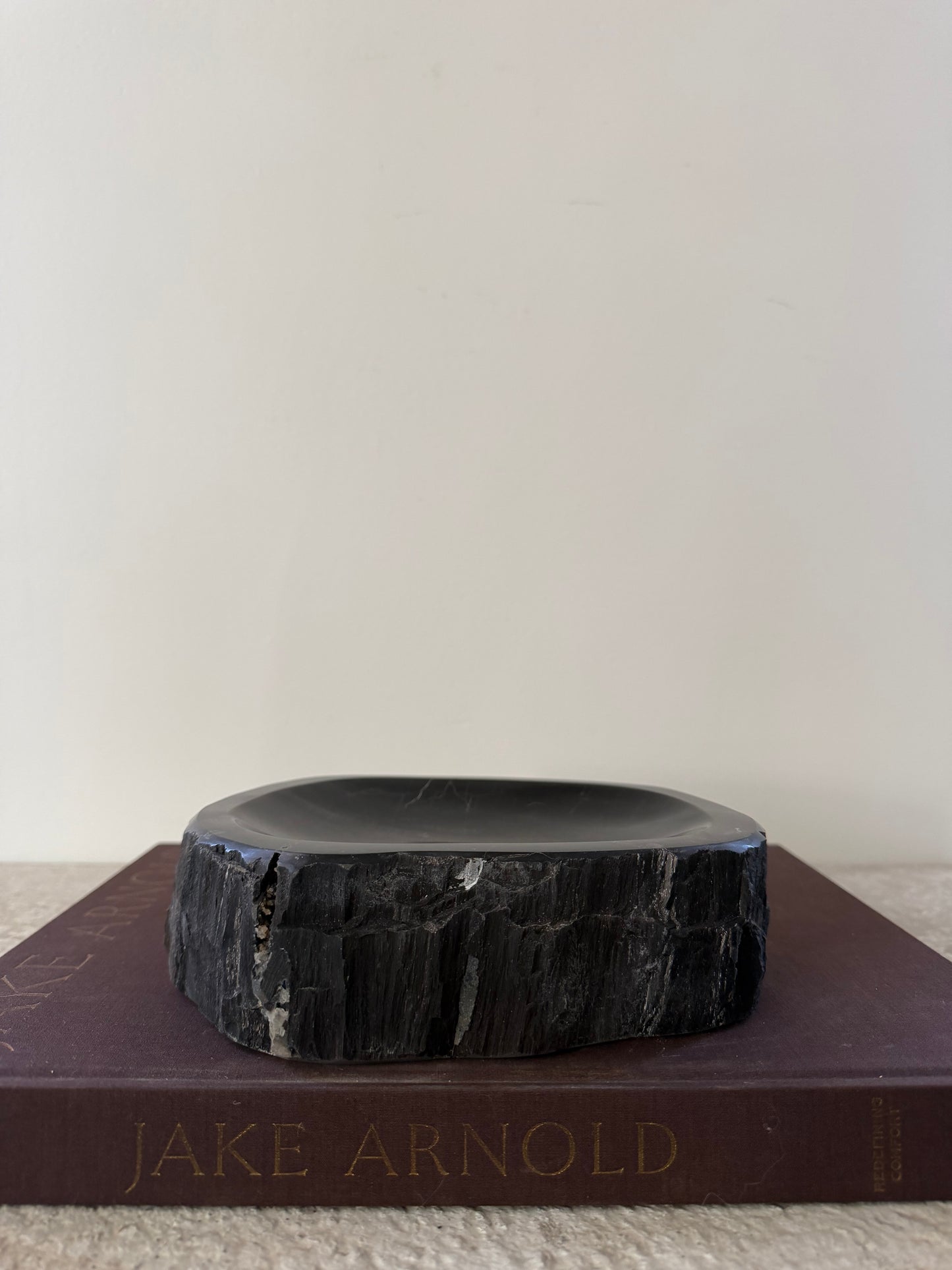 Petrified Wood Dish IV