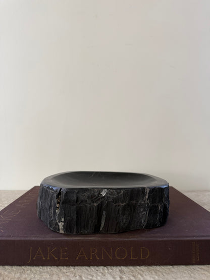 Petrified Wood Dish IV