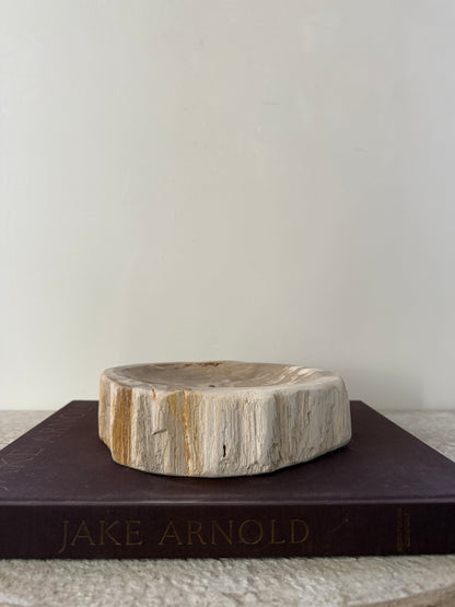 Petrified Wood Dish III