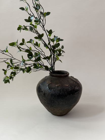 Rumi Pot - III