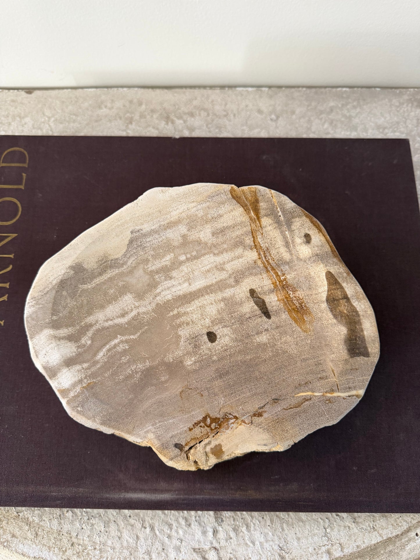 Petrified Wood Dish III