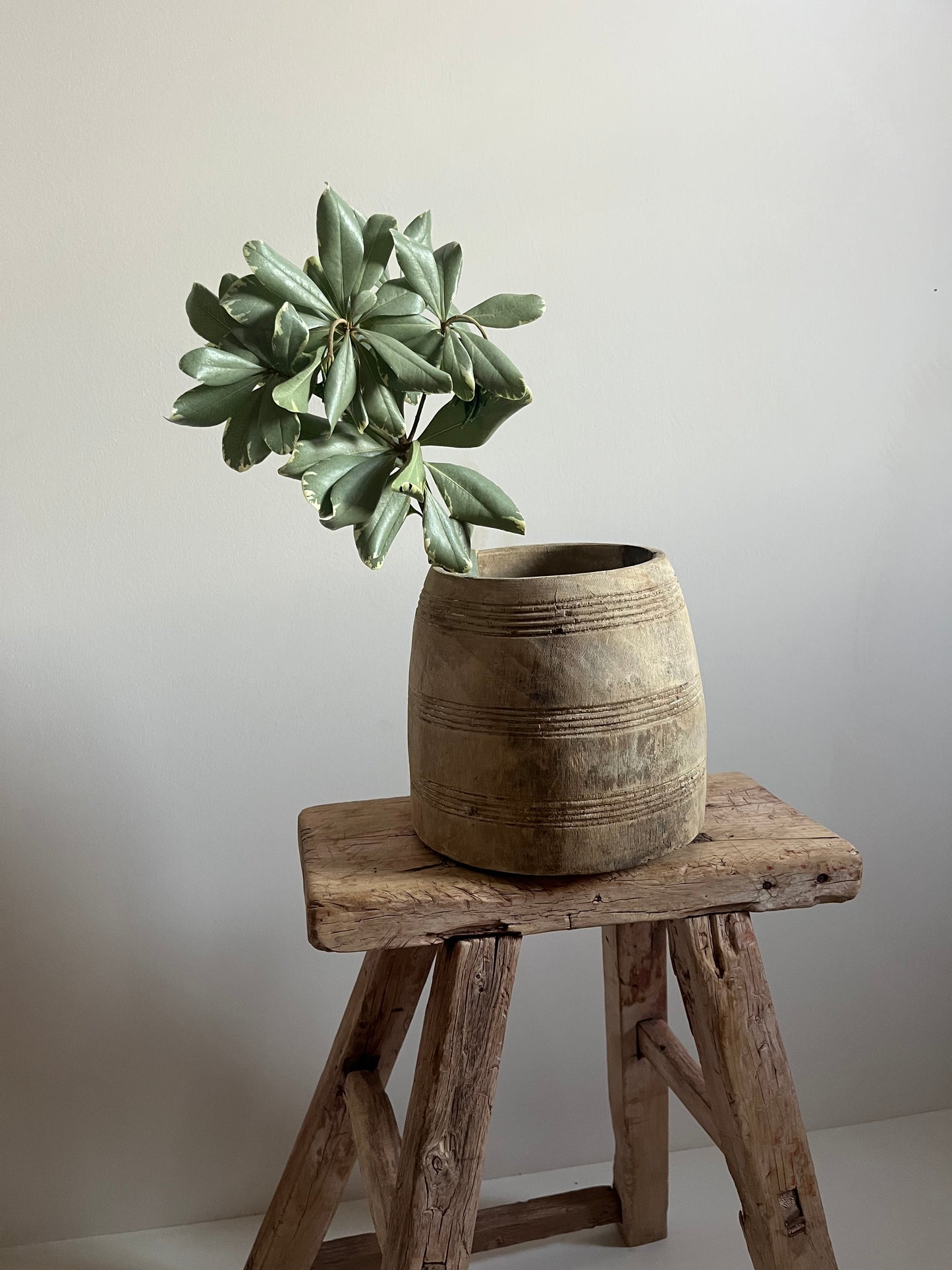 Bleached Teak Vintage Honey Pot, Medium No. 001