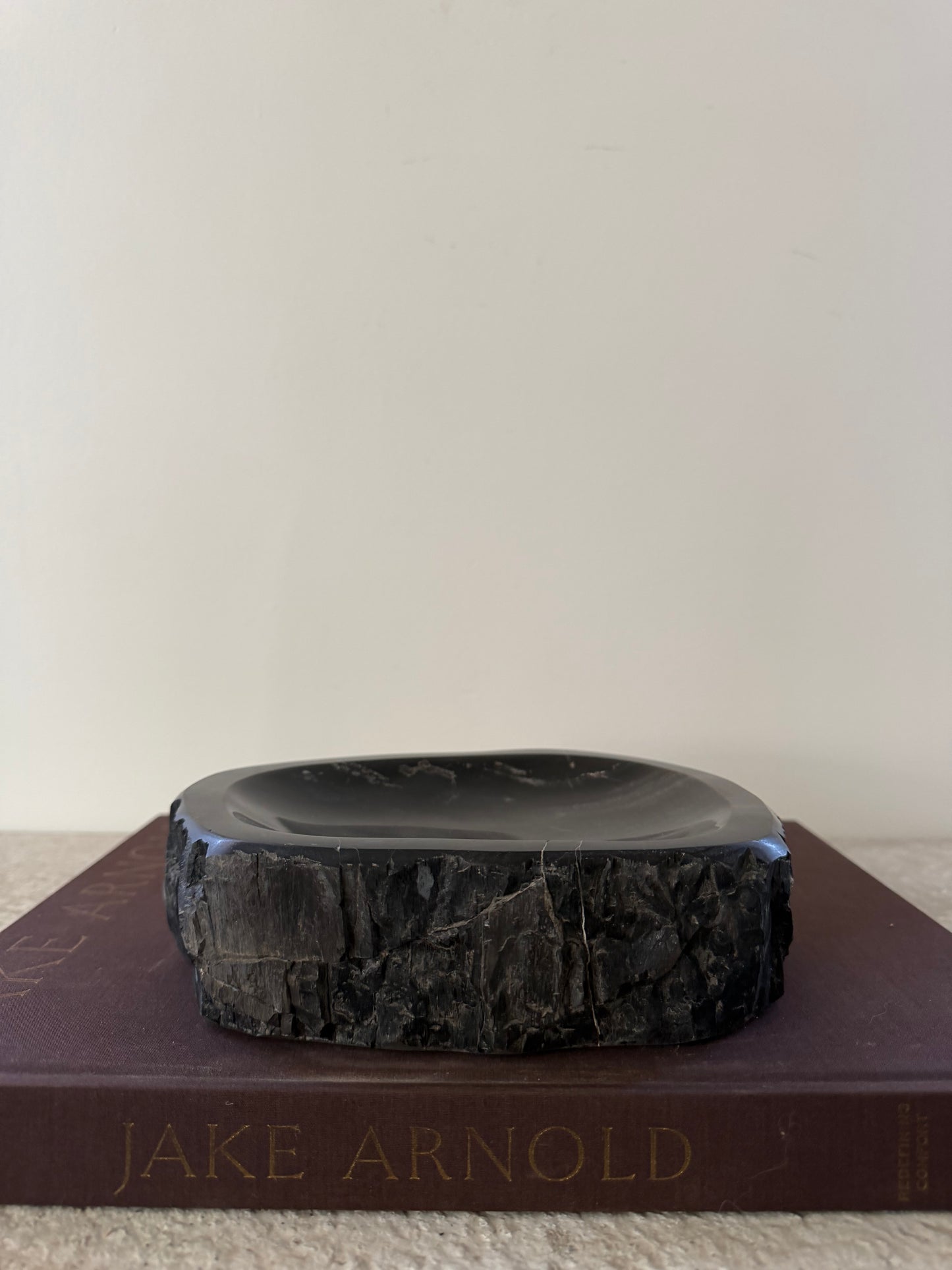 Petrified Wood Dish IV