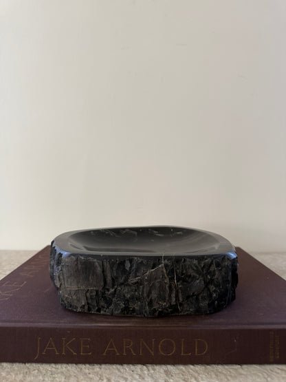 Petrified Wood Dish IV