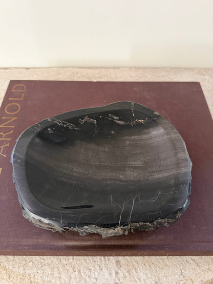 Petrified Wood Dish IV