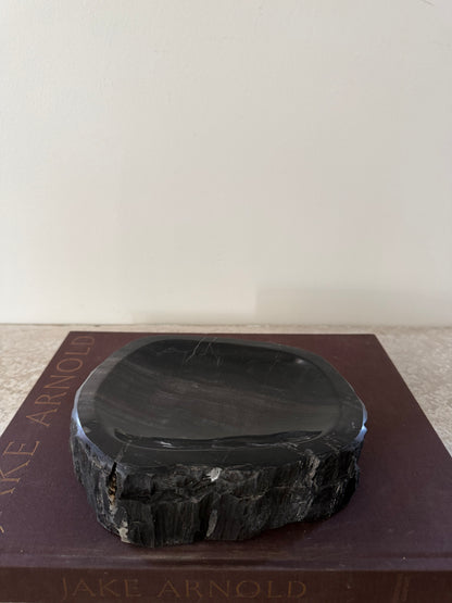 Petrified Wood Dish IV
