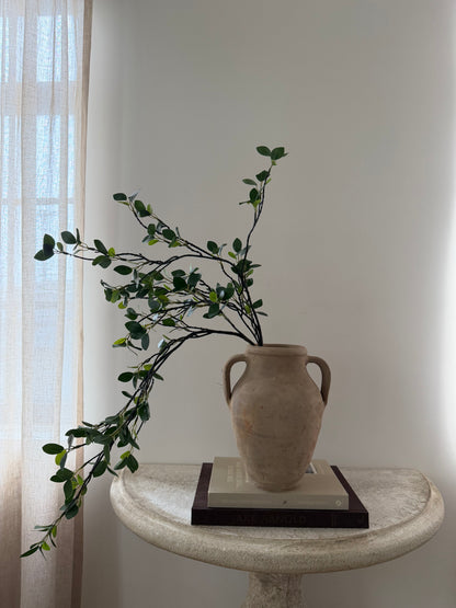 Double Handled Small Avanos I