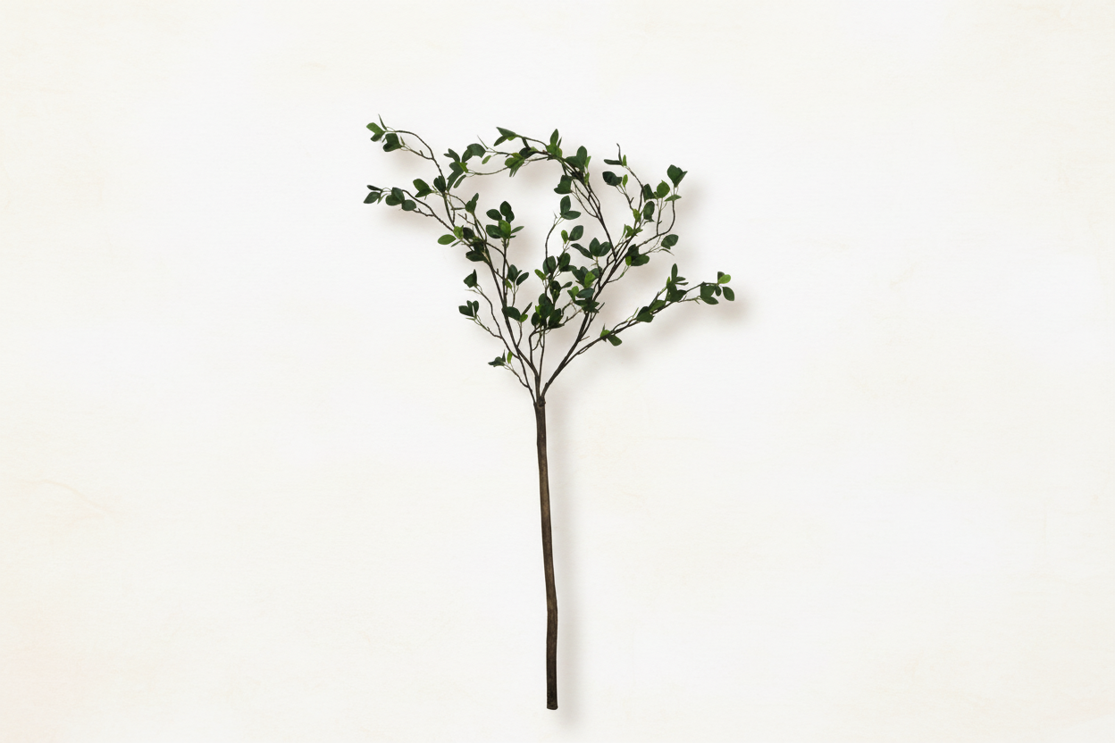 The Signature Stem