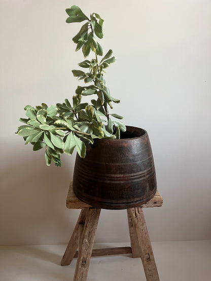 Wood Planter Pot No. 003