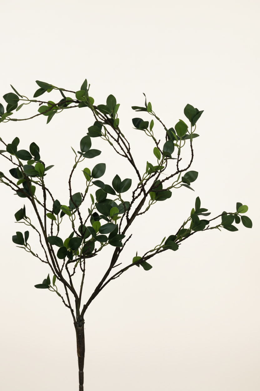 The Signature Stem