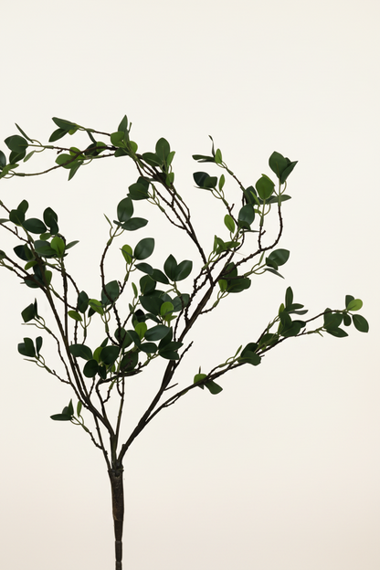 The Signature Stem