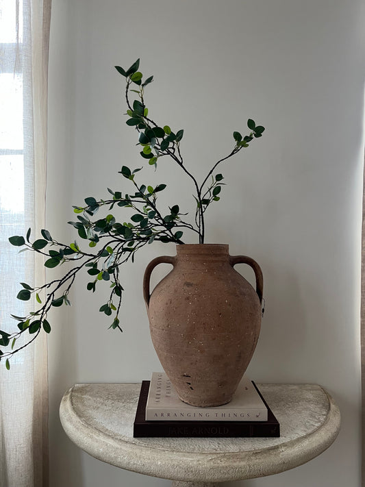 2 Handle Terracotta Pot I