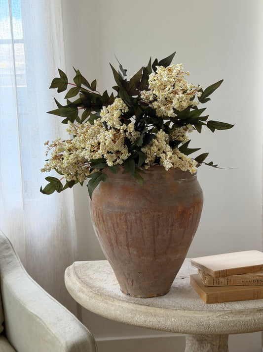 Scalloped Edge Terracotta Planter