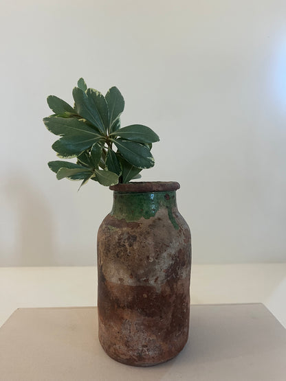 Not So Mini Kinik Pot No. 005