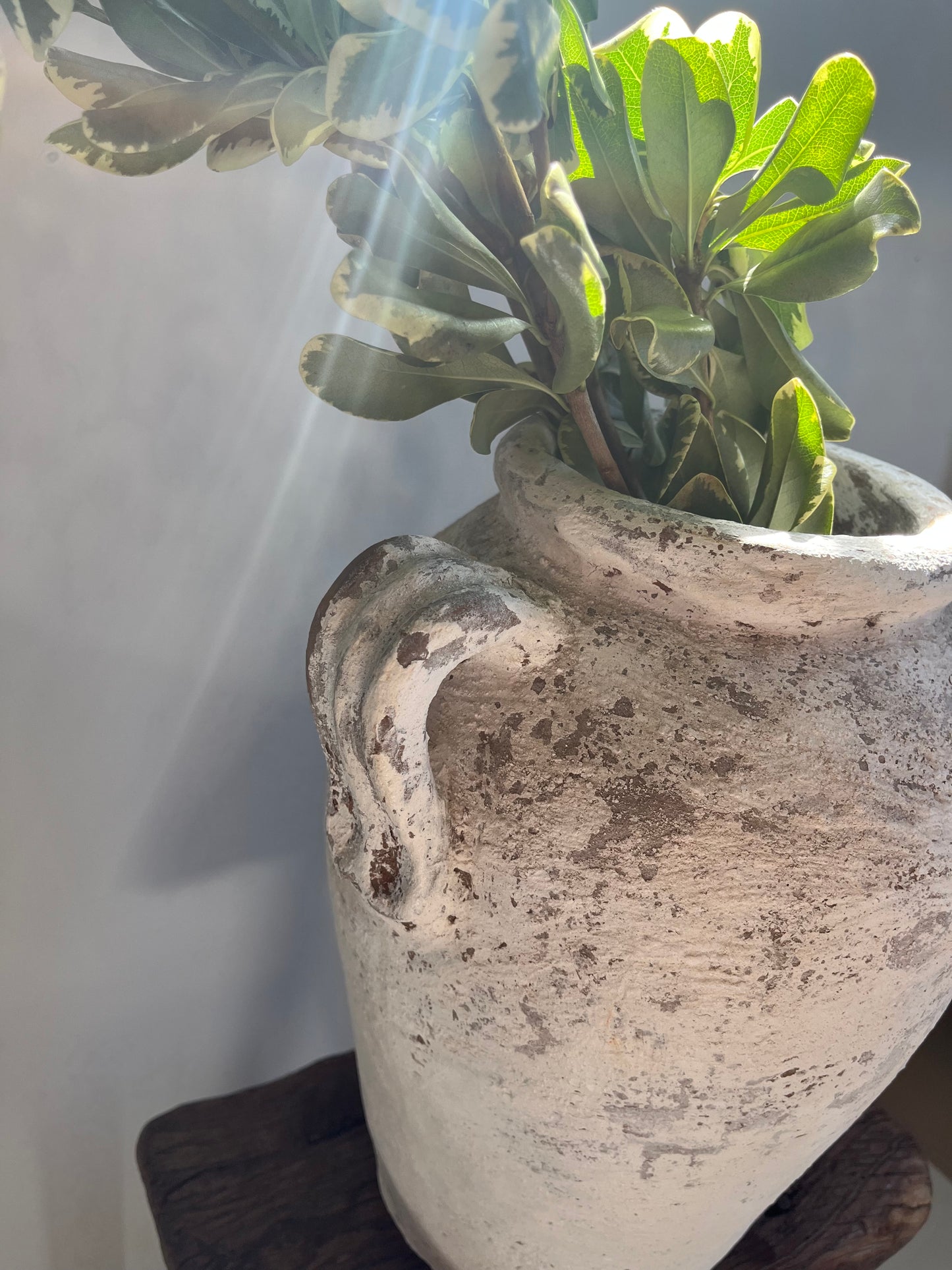 Vintage Indonesian 2 Handled Water Pot