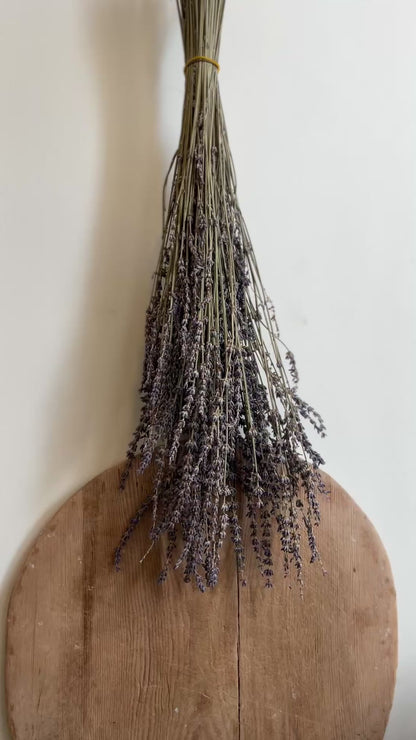 Breadboard, Small No. 002