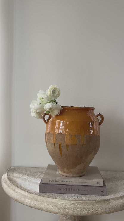Large Confit Pot - II