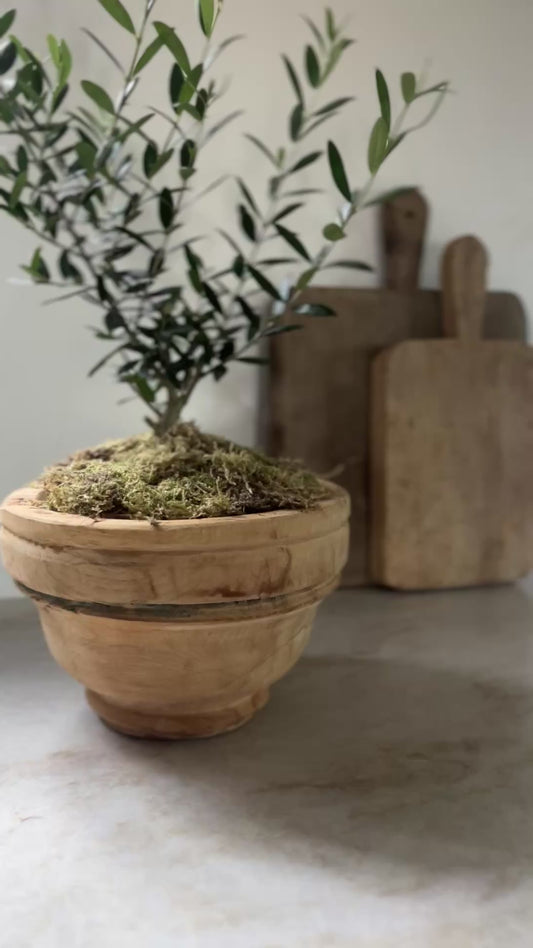 Vintage Indian Wood Capital Planters