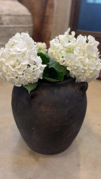 Vintage 4 handle waterpot