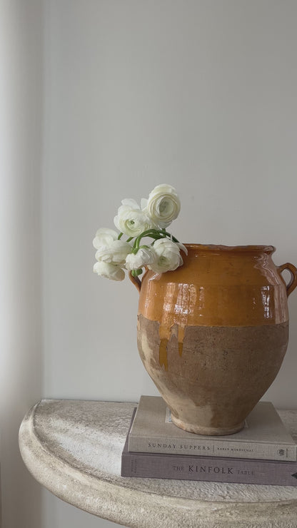 Large Confit Pot - II