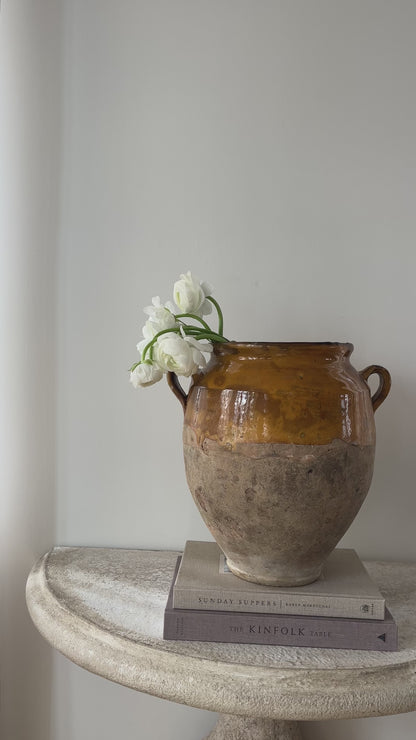 Large Antique Confit Pot III