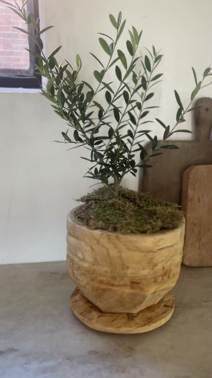 Vintage Indian Wood Capital Planters